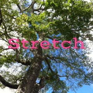 stretch